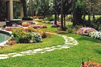 Miami lawn care service